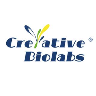 Creative Biolabs