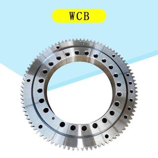 WCB Slewing Bearing