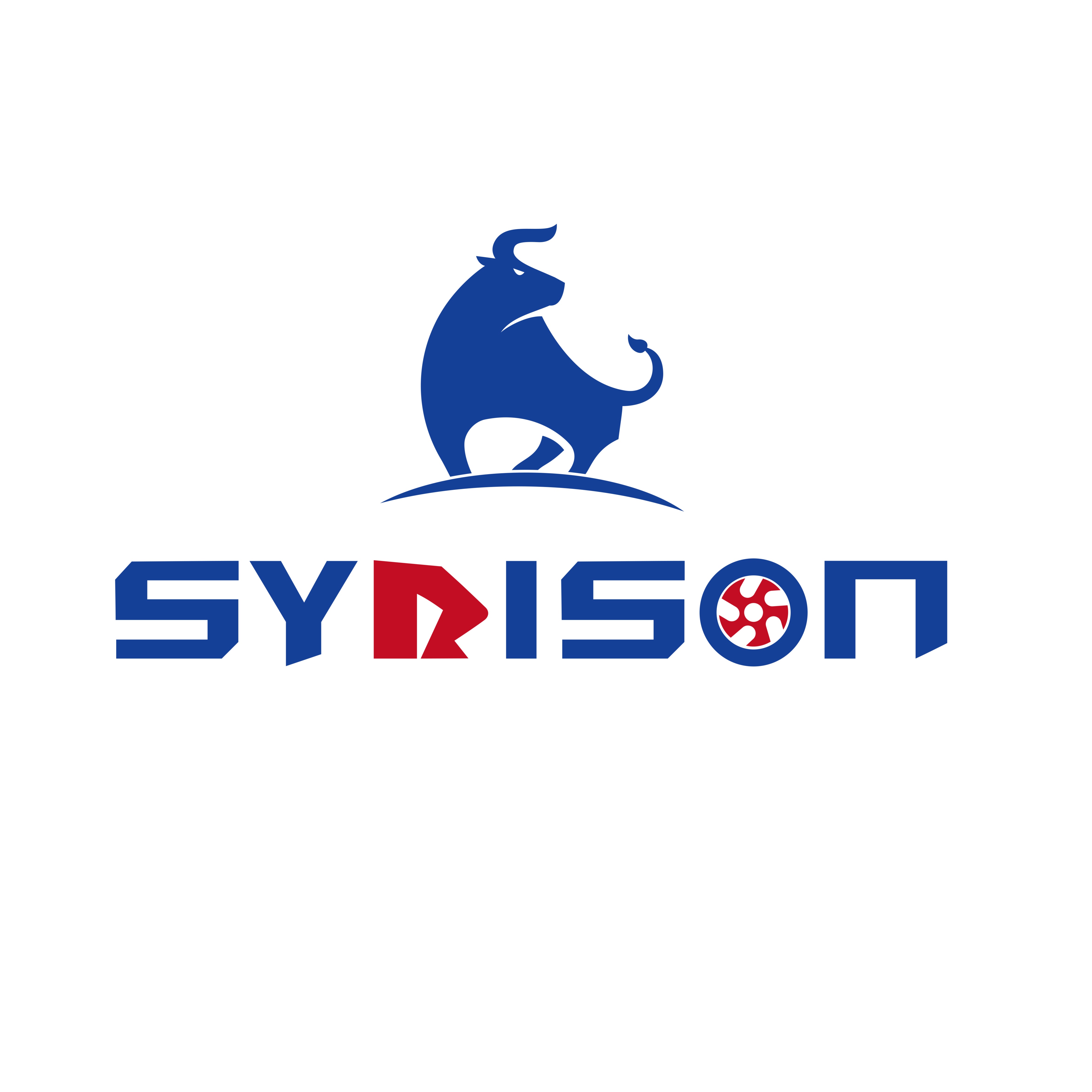 Qingdao Syrison Industrial Equipment Co., Ltd.