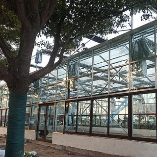 Smart Venlo Glass Greenhouse image 4