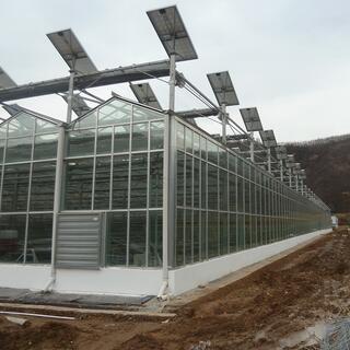 Photovoltaic Greenhouse image 4