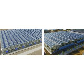 Photovoltaic Greenhouse image 7