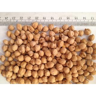 Ethiopian Kabuli Chickpeas