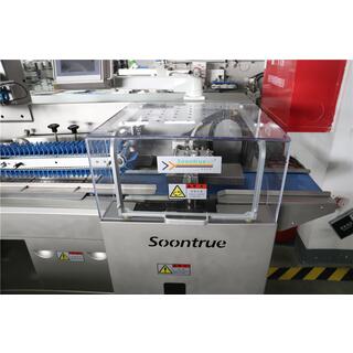 Box motion flow wrapping machine - SW60E image 5