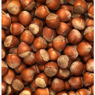 Natural and Processed Hazelnuts in a Variety of Grades