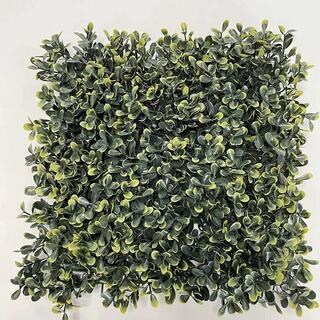 Eco-friendly Easy-to-install Decorative Artificial Boxwood Hedge For Wall image 3