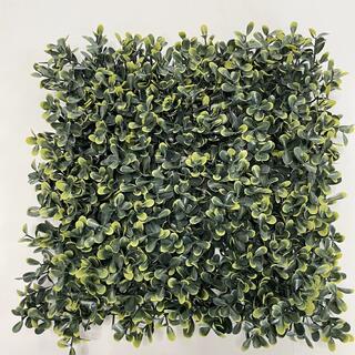 Eco-friendly Easy-to-install Decorative Artificial Boxwood Hedge For Wall image 4