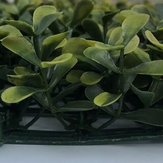 Eco-friendly Easy-to-install Decorative Artificial Boxwood Hedge For Wall image 7