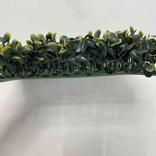 Eco-friendly Easy-to-install Decorative Artificial Boxwood Hedge For Wall image 11