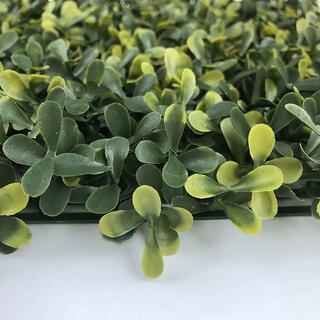 Eco-friendly Easy-to-install Decorative Artificial Boxwood Hedge For Wall image 12