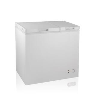 BCD-167E Chest Freezer Top Open Door