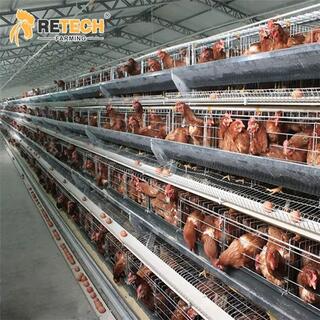 Automatic A Type Poultry Farm Layer Chicken Cage image 6