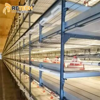 Automatic H Type Poultry Farm Broiler Chicken Cage image 2