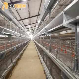 Automatic H Type Poultry Farm Pullet Chicken Cage image 3