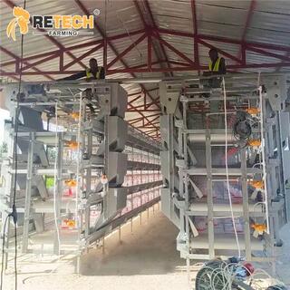 Automatic H Type Poultry Farm Pullet Chicken Cage image 5