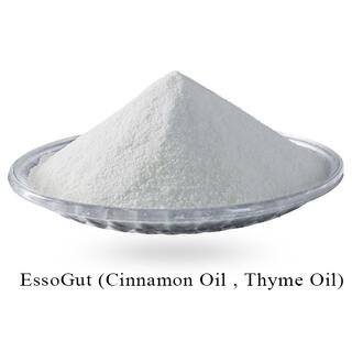 EssoGut (Cinnamon Oil, Thyme Oil)