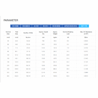 All Aluminum Conductor (AAC) image 12