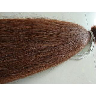 Horse Tail Hair image 3