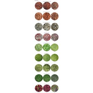 Fruit And Vegetable Color Sorter image 2