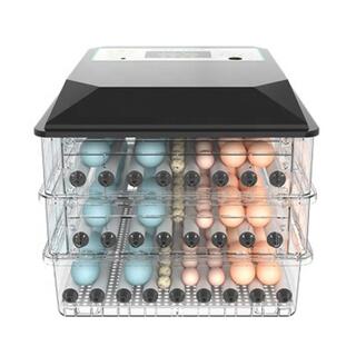 Small Egg Incubator Portable Family Use 180 Eggs Mini Incubator Popular in European and USA image 4