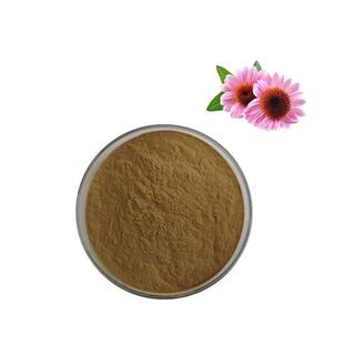 Organic Echinacea Purpurea Extract Powder