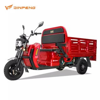 DLS150Pro Electric Cargo Tricycle