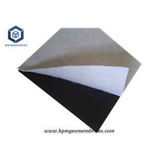 Composite Geomembrane Liner image 3