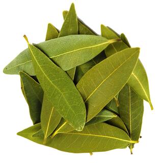 Bay Leaf Herbs