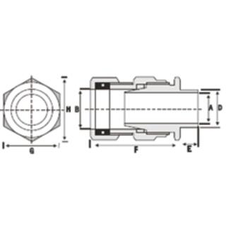 BW Industrial Gland (2 Part) image 2