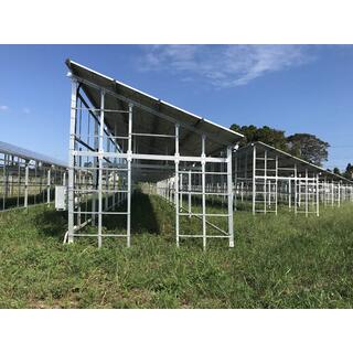 Solar Energy Agricultural Solar Mounting System For Farm