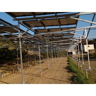 Solar Energy Agricultural Solar Mounting System For Farm image 3