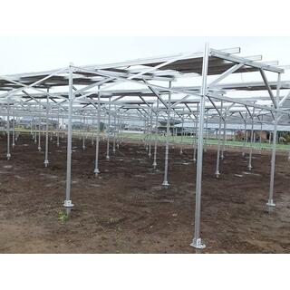 Solar Energy Agricultural Solar Mounting System For Farm image 4