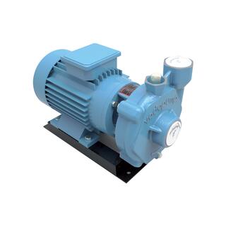 TSL - 50 Three Phase Monoblock Electro-Pumps