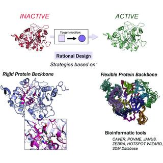 Rational Enzyme Design Services