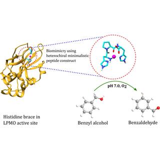 De Novo Enzyme Design Service