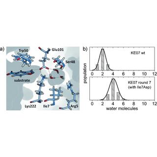 Computational Enzyme Design Services