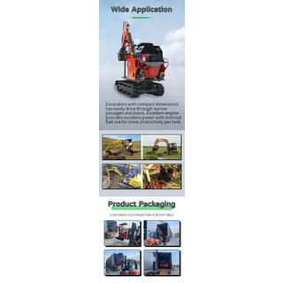 LDE-W800 800kg Hydraulic Mini Excavator image 3