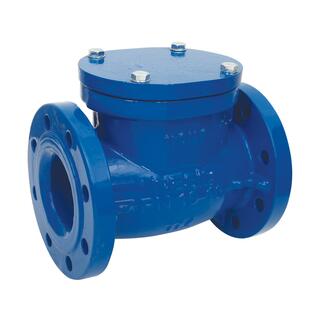 Swing Check Valve