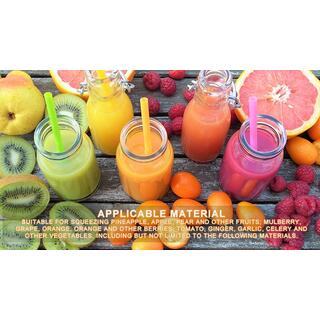 Commercial 120L Multifunction Fruit Vegetable Mango Tomato Watermelon Paste Pulp Juice Blending Machine image 10