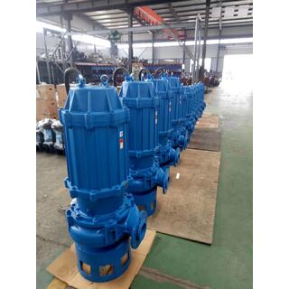 PQS series submersible slurry pump image 6