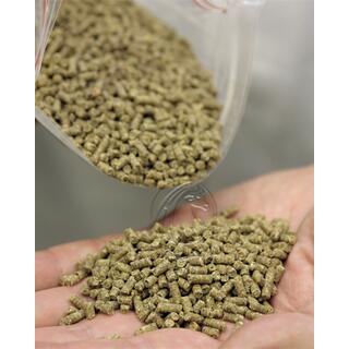 35-40T/H Feed Pellet Line image 10