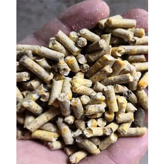 35-40T/H Feed Pellet Line image 11