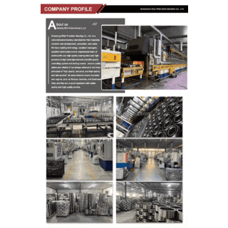 WQA NUP205 CYLINDRICAL ROLLER BEARING SIZE WITH SIZE 25 x 52 x 15