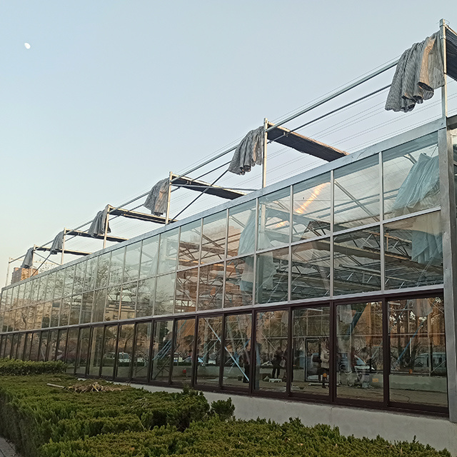 Smart Venlo Glass Greenhouse image 1