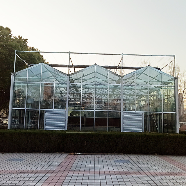 Smart Venlo Glass Greenhouse image 6