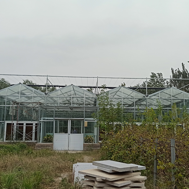 Intelligent Eco Hydroponic Greenhouse image 1