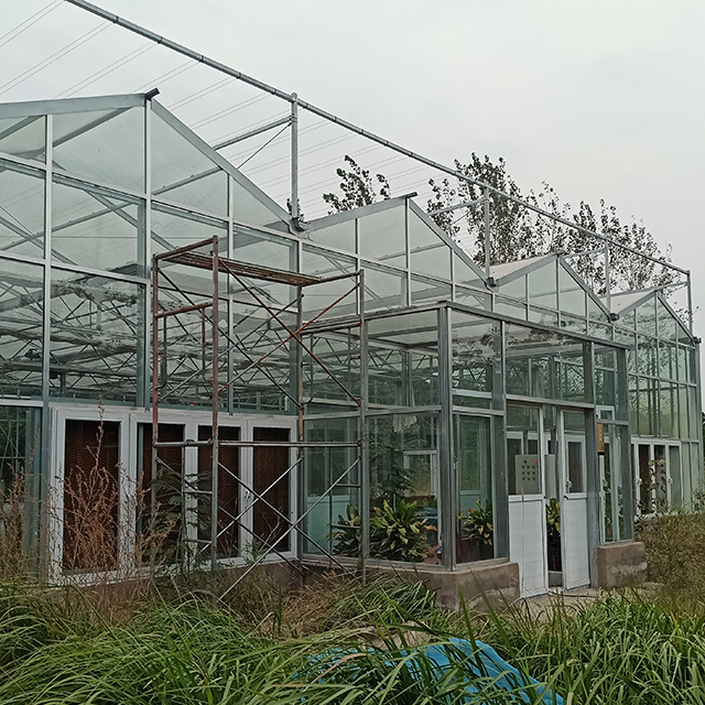 Intelligent Eco Hydroponic Greenhouse image 5