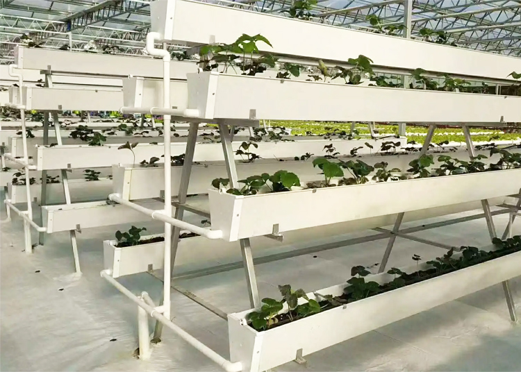 Intelligent Eco Hydroponic Greenhouse image 6