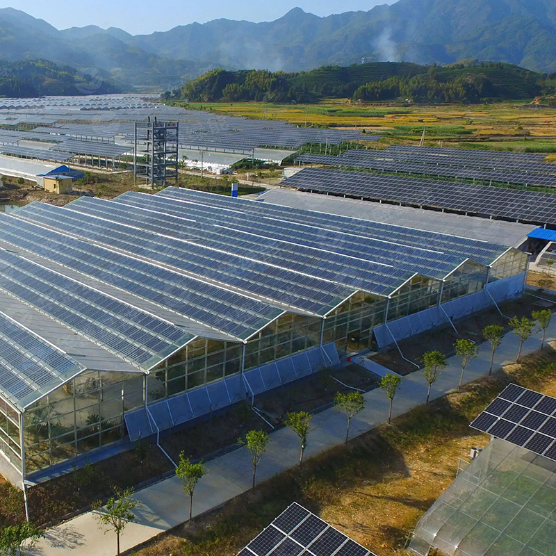 Photovoltaic Greenhouse image 1