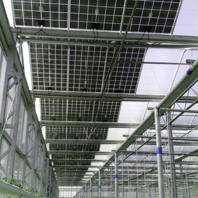 Photovoltaic Greenhouse image 2